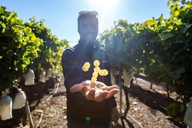 Alicante: Small-Group Countryside Wine Tour with 4 Tastings - Key Things That Make This Tour Worth Your Time