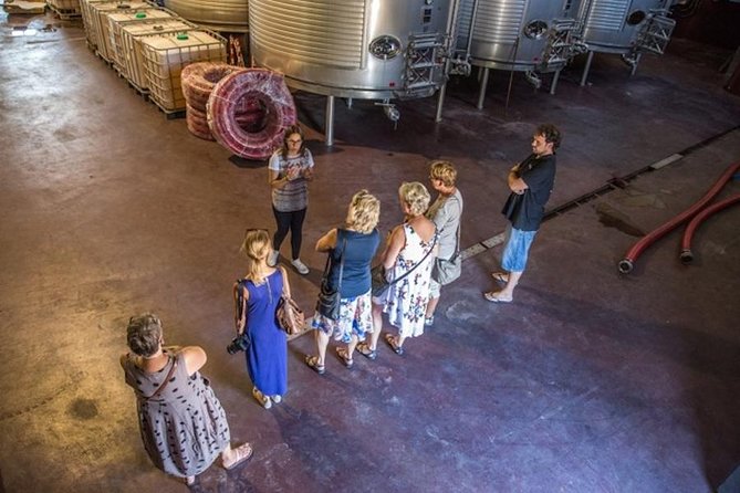 Alicante: Small-Group Countryside Wine Tour with 4 Tastings - From Hotel Meliá Alicante to the Countryside, Smooth and Simple