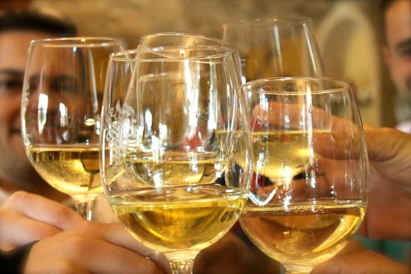 Alicante: Small-Group Countryside Wine Tour with 4 Tastings - Four Tastings That Actually Teach You Something