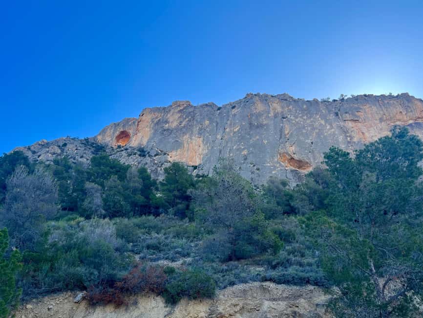 Alicante: Spain's highest cave with transfer included - Museum of Ethnic Music: instruments from around the world in a small space