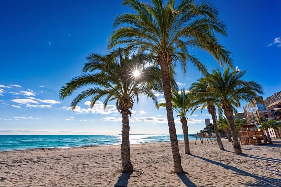 Alicante: Spot the Mediterranean by E-bike - Why this Alicante coast tour feels easier than expected