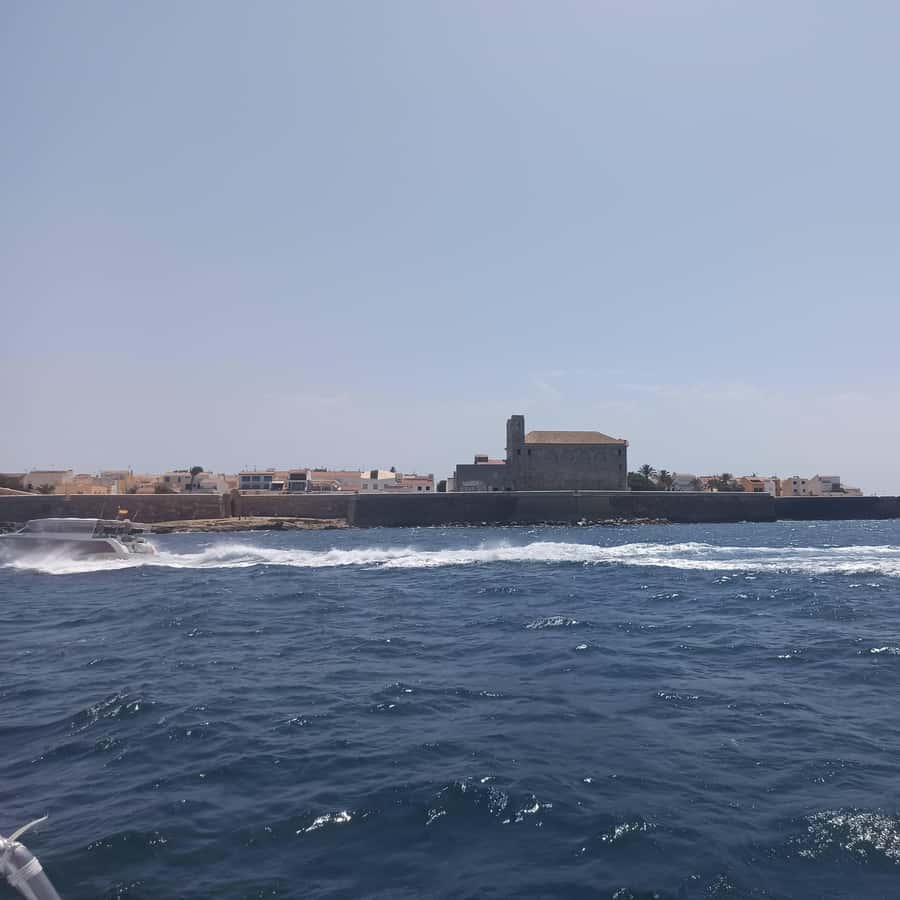 Alicante/Torrevieja: Excursion to Tabarca by ferry, Santa Pola, and Laguna Rosa - Key highlights you will feel on the day