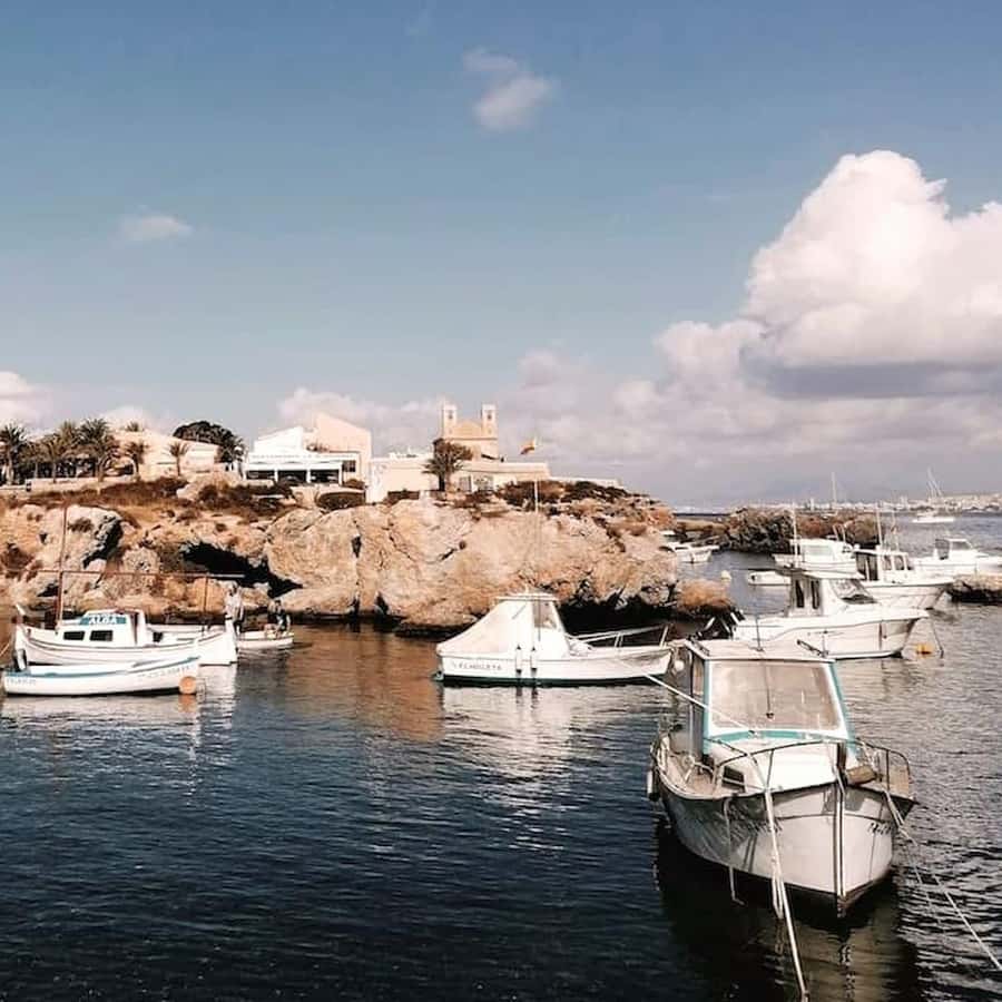 Alicante/Torrevieja: Excursion to Tabarca by ferry, Santa Pola, and Laguna Rosa - Lagunas de la Mata y Torrevieja Natural Park, and the pink lagoon mystery