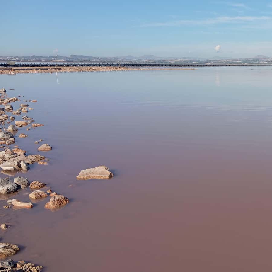 Alicante/Torrevieja: Excursion to Tabarca by ferry, Santa Pola, and Laguna Rosa - Tabarca island: walking a tiny, car-free world