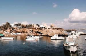 Alicante/Torrevieja: Excursion to Tabarca by ferry, Santa Pola, and Laguna Rosa - The guided magic: how the tour makes each stop make sense