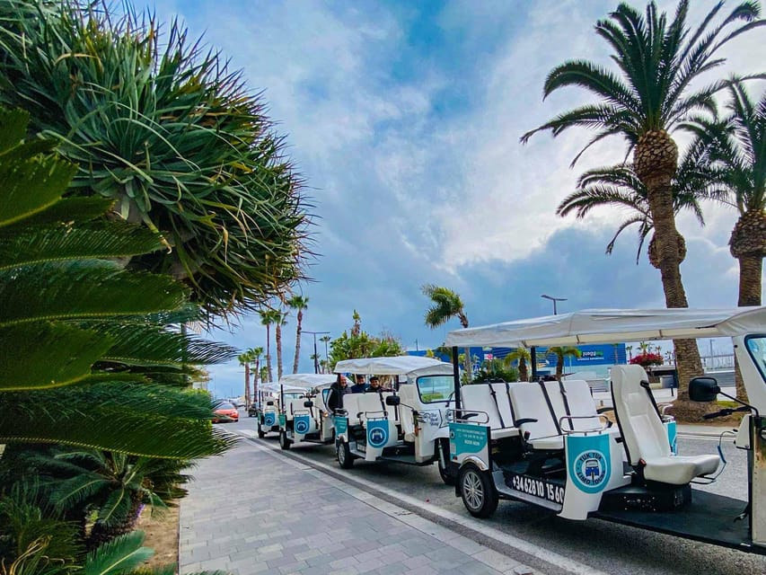 Alicante Tuk Tuk Overview Tour - Plaça dEspanya, Central Market, and the Best Squares for People-Watching