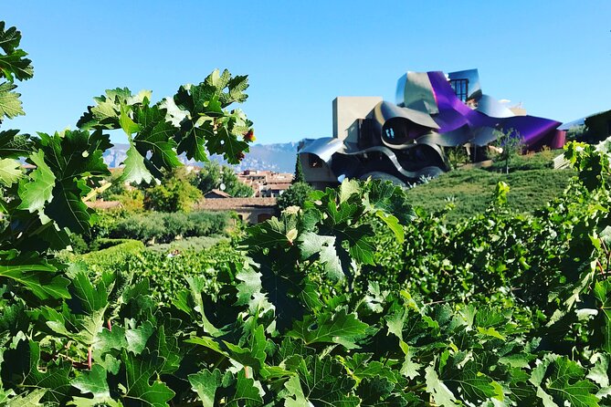 Architectural Rioja Small Group Wine Tour with Lunch from Bilbao - Pacing, Comfort, and the Small Group Advantage