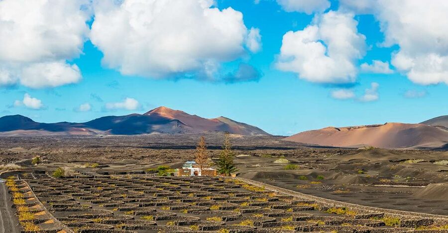 Arrecife: Timanfaya and Green Lagoon for Cruise Passengers - Cruise-Port Reality Check: This Is a Tight Half Day Run