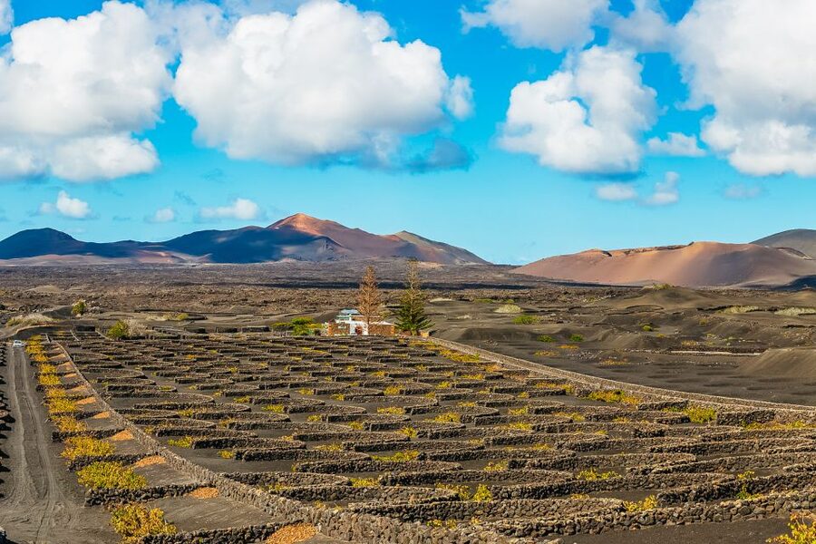 Arrecife: Timanfaya and Green Lagoon for Cruise Passengers - From Port to Fire Mountains: Timanfaya National Park on a Guided Route