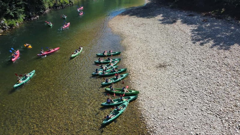 Arriondas: Descenso del Sella en Canoa - On the water: calm Sella vibes plus wildlife moments