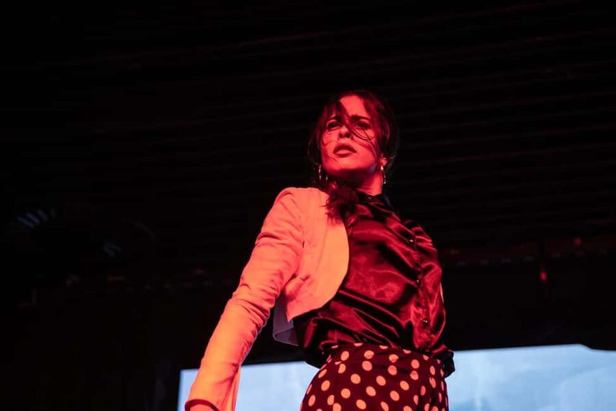 Authentic Flamenco Show Valencia - Who this flamenco show fits best in Valencia