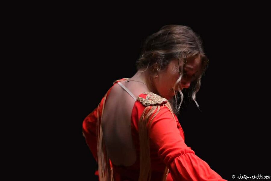 Authentic Flamenco Show Valencia - What $23 buys you: reserved seats and a professional 60-minute program