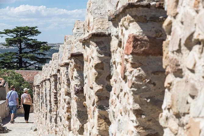 Avila with Walls and Segovia with Alcazar from Madrid - Group size, language mix, and walking stamina