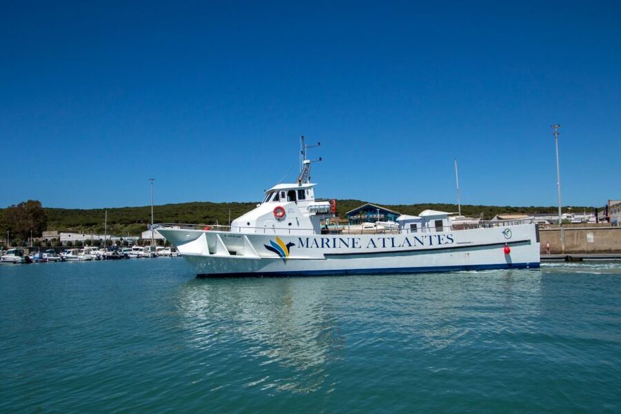 Barbate: Dolphin and Whale Watching in Cape Trafalgar - Cape Trafalgar by boat: the feeling you are really buying