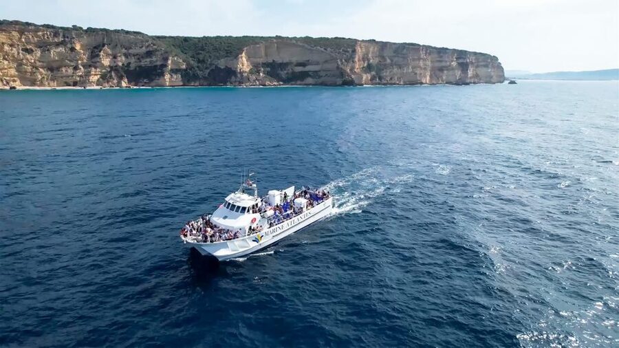 Barbate: Dolphin and Whale Watching in Cape Trafalgar - What the 3 hours look like: searching waters and picture moments
