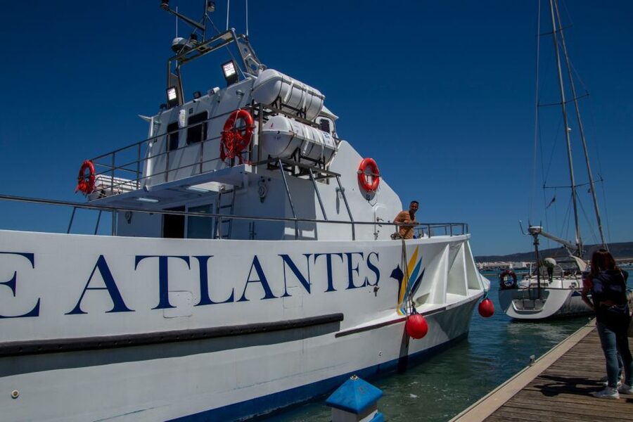 Barbate: Sunset Cruise with Glass of Cava - The Trafalgar Lighthouse moments: where the best views concentrate