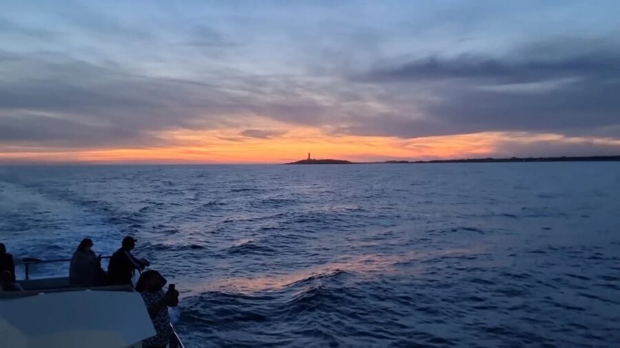 Barbate: Sunset Cruise with Glass of Cava - Marine Atlantes to the Coast: the route and timing that make it work