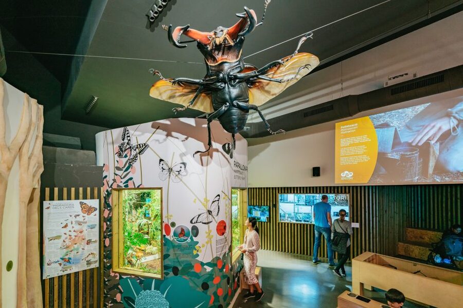 Barcelona: 1-Day Ticket to Barcelona Zoo - What you’ll see: 4,000 animals, 400+ species, and the zoo’s conservation mission