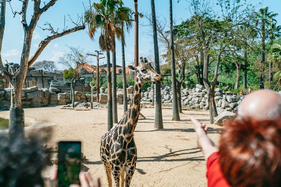 Barcelona: 1-Day Ticket to Barcelona Zoo - Planning your walk: how to make the most of one full day