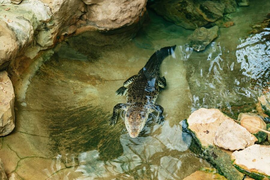 Barcelona: 1-Day Ticket to Barcelona Zoo - Price and value: is $27 per person worth it?
