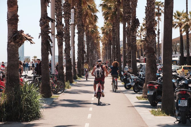 Barcelona 3-hour Bike or E-Bike Tour: Highlights and Hidden Gems - Modernisme Beyond Gaudí: Palau de la Música Catalana