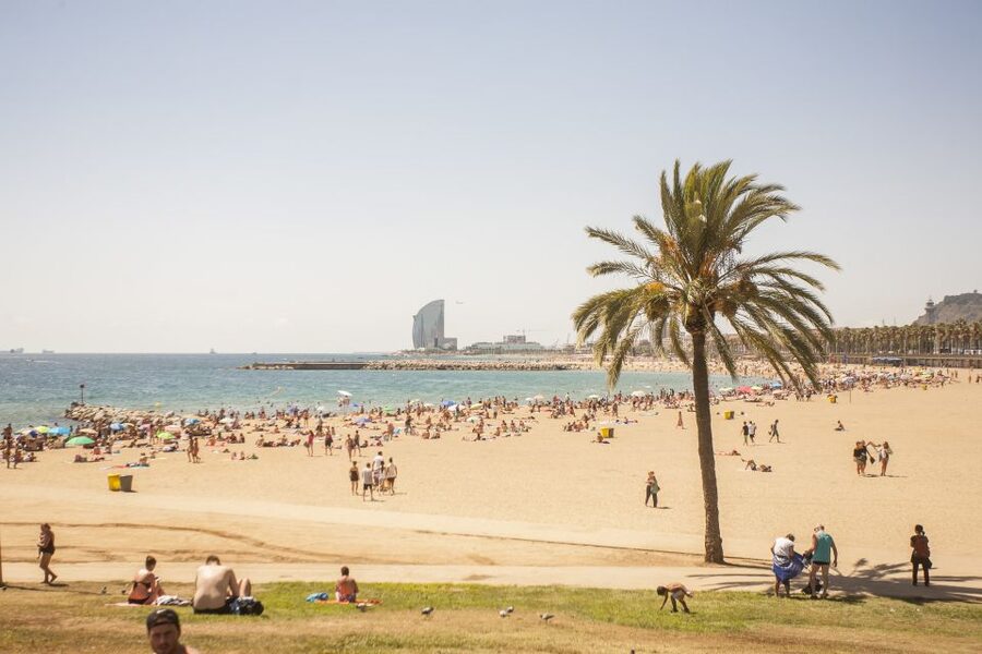 Barcelona: 3-Hour Segway Sightseeing Tour - Port Fòrum, Natural Sciences Museum Area, and Parc de la Ciutadella