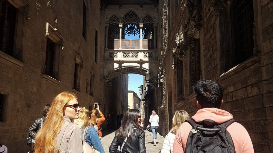 Barcelona: 4-Hour Tapas Evening Tour and Flamenco Show - Who This Tour Suits Best (and Who Might Prefer Something Else)