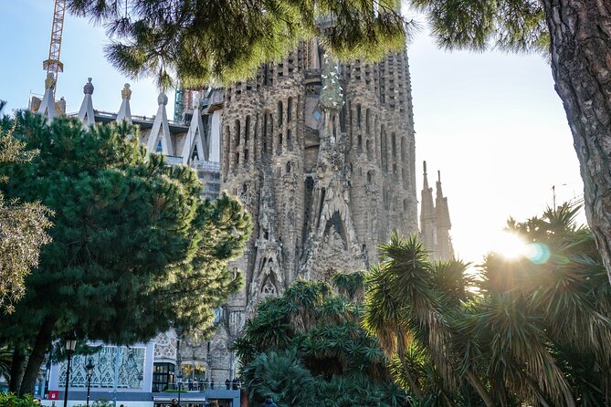 Barcelona all included: Sagrada, Park Güell, Montjuic & Gothic - Walking, Comfort, and the Stops That Are Exterior Only