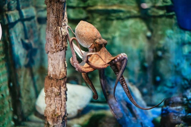 Barcelona Aquarium: Entry Ticket - Key things to notice before you go