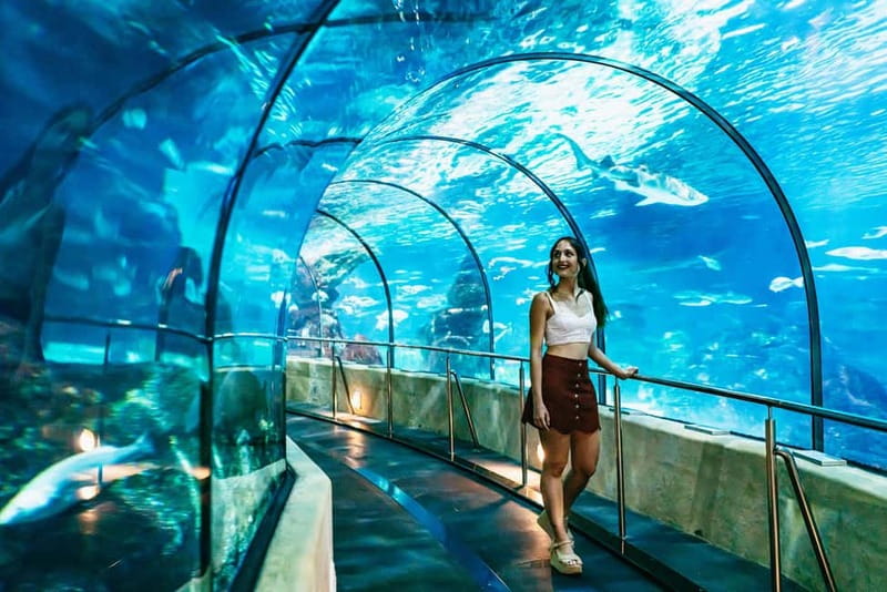 Barcelona Aquarium: Entry Ticket - Interactive Learning Zones: Aqua Protectors and SOS Oceans