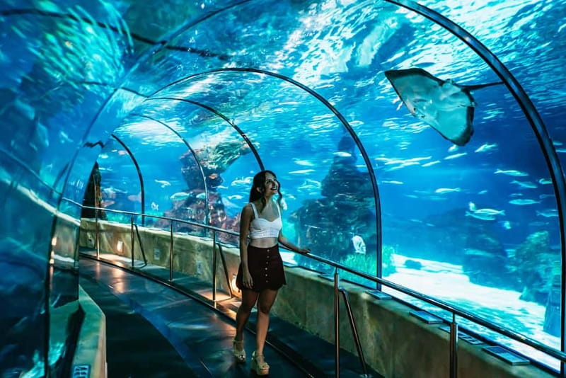 Barcelona Aquarium: Entry Ticket - Planning Your Time Slot for a Calm, Unhurried Visit