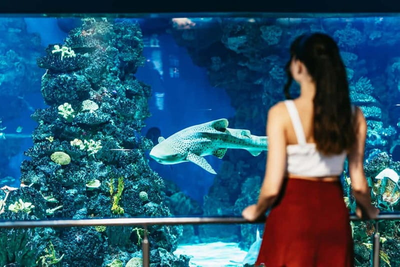Barcelona Aquarium: Entry Ticket - Start Smart with Planeta Aqua (The 5-Senses Water Exhibit)