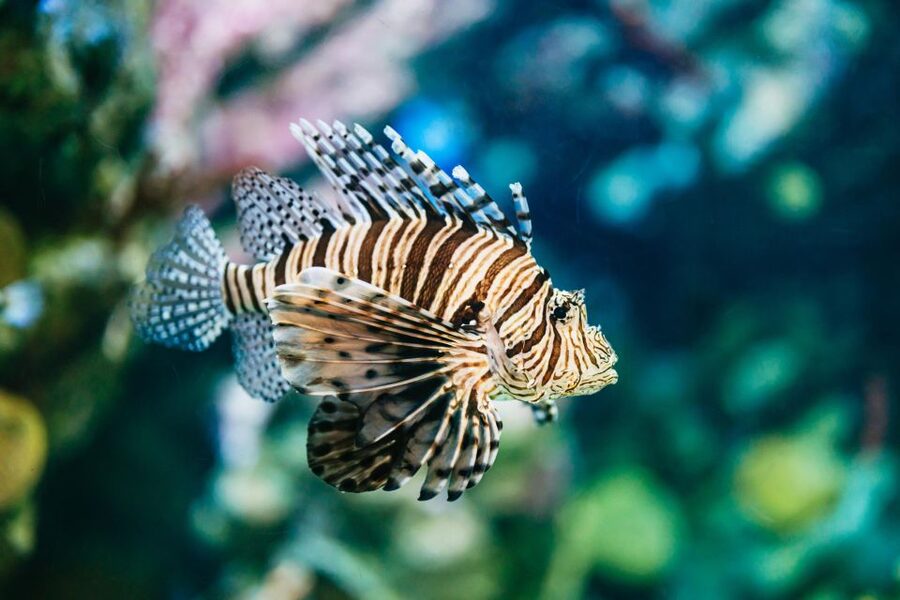 Barcelona Aquarium: Entry Ticket - Journey to the Depths: Technology That Actually Moves the Story