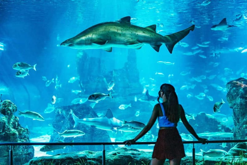 Barcelona Aquarium: Entry Ticket - Mediterranean Highlights: Medes Islands and Ebro Delta Tanks