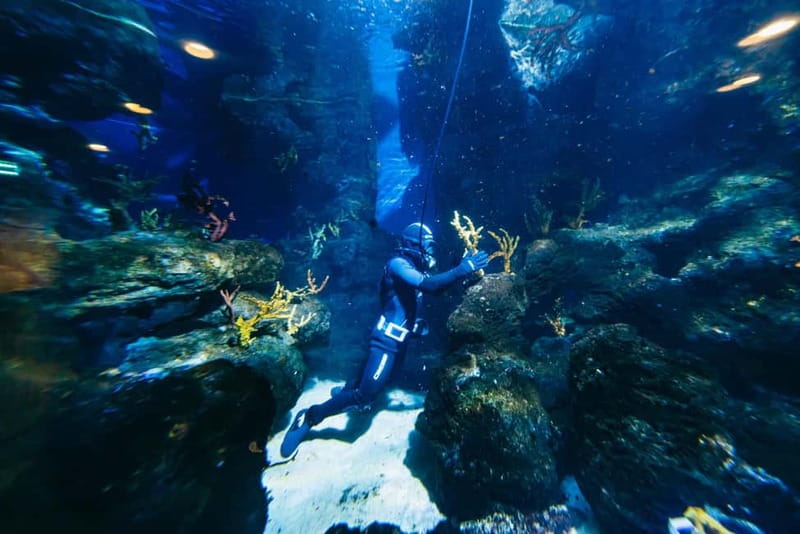 Barcelona Aquarium: Entry Ticket - Tropical Tanks and the Mangrove Zone for a Real Mix of Habitats