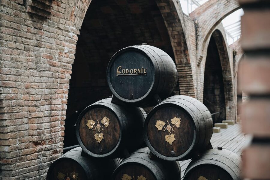 Barcelona: Casa Codorníu Guided Tour with Cava Tastings - What the guide brings to the tour (and where it can vary)