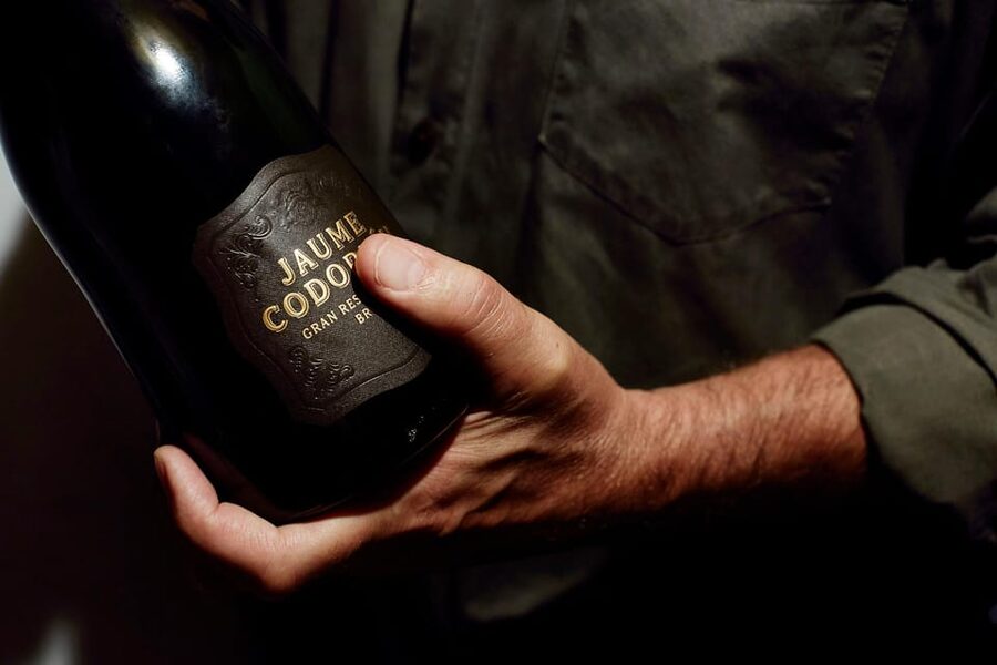 Barcelona: Casa Codorníu Guided Tour with Cava Tastings - Price and value: is $35 worth it?