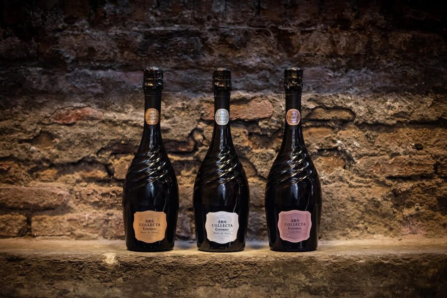 Barcelona: Casa Codorníu Guided Tour with Cava Tastings - Who should book this tour, and who might not love it