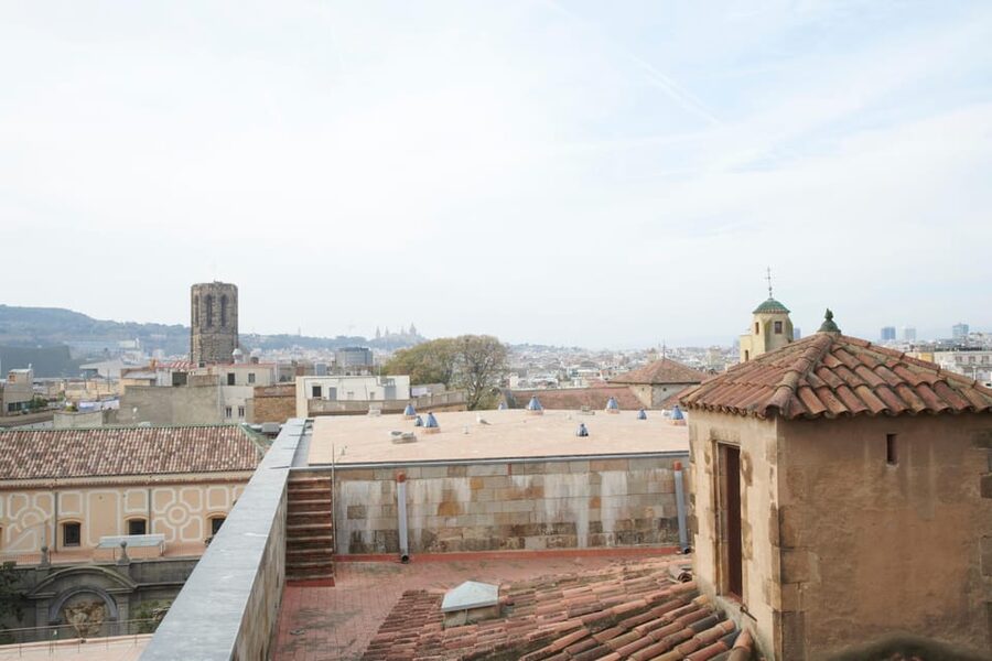 Barcelona Cathedral: Ticket, Guided Tour and VR Experience - Cloister time: sculpture columns and quiet you can actually feel