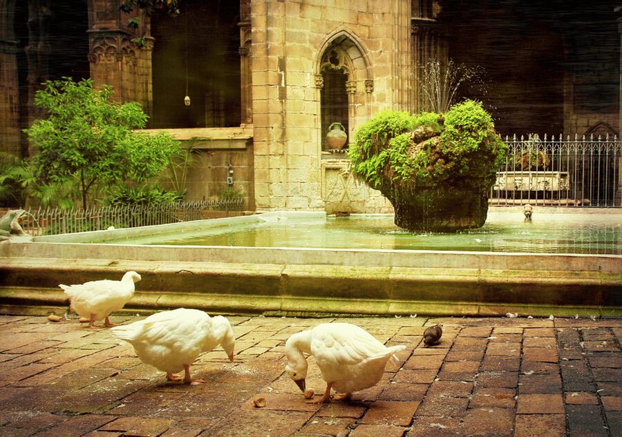Barcelona Cathedral: Ticket, Guided Tour and VR Experience - Big medieval headlines inside a church setting