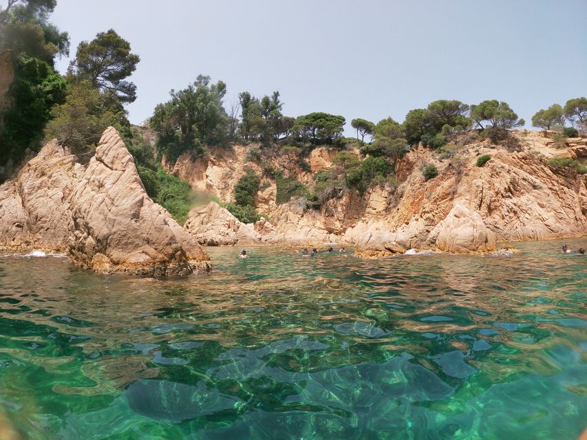Barcelona: Costa Brava Kayaking & Snorkeling Tour with Lunch - The 3-hour kayak session: coves, cliffs, and real paddling