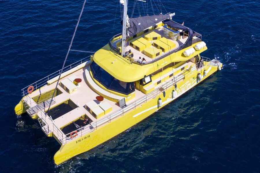Barcelona: Daytime or Sunset Catamaran Cruise with Music - What you’re really buying: time on the water with Barcelona’s skyline