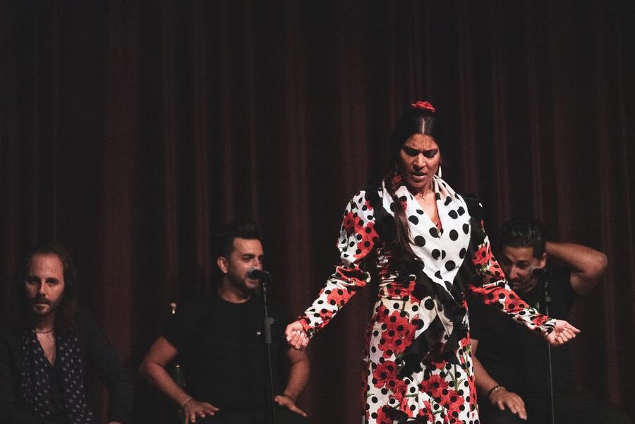 Barcelona: Flamenco Show at Palau Dalmases - Where Palau Dalmases fits into Barcelona’s flamenco scene