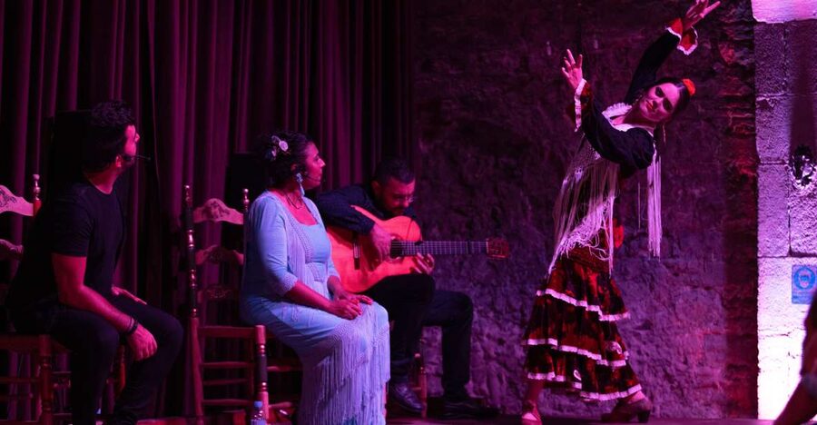 Barcelona: Flamenco Show at Palau Dalmases - Getting to Palau Dalmases, without turning your night into a search mission
