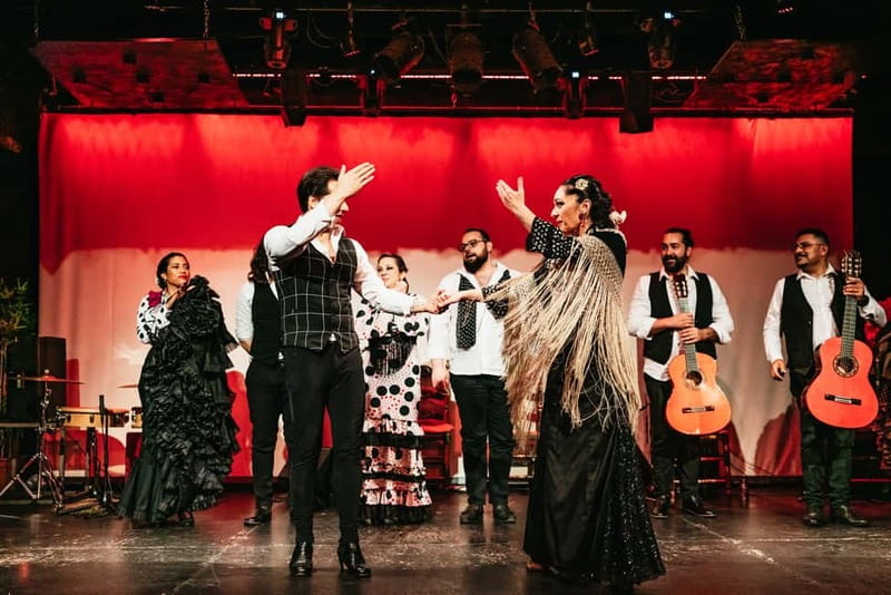 Barcelona: Flamenco Show at the Theater - Who should book this Barcelona flamenco show