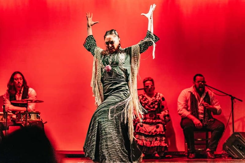 Barcelona: Flamenco Show at the Theater - The cast: dancers, singers, guitarists, and percussion