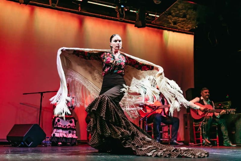 Barcelona: Flamenco Show at the Theater - Comfort and accessibility: the real-world limits