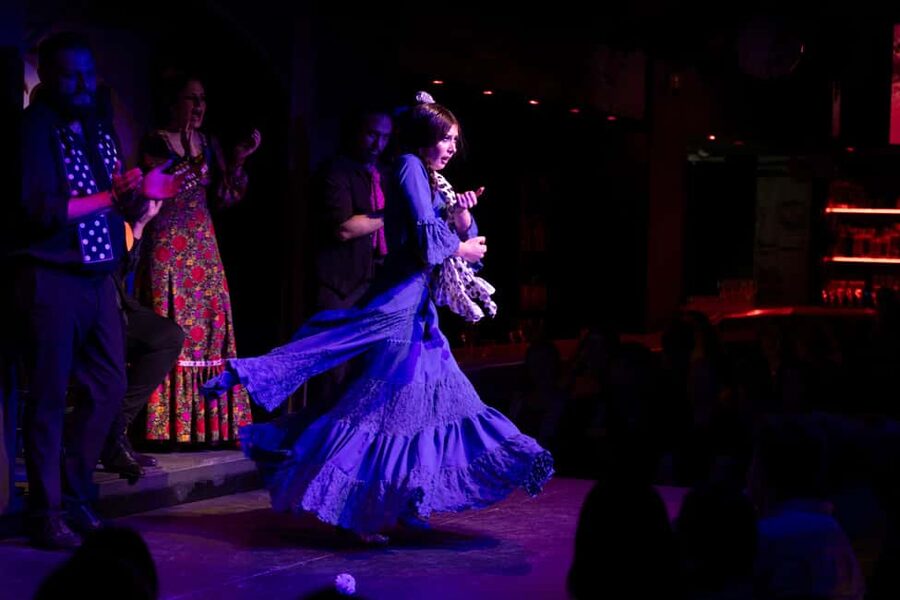 Barcelona: Flamenco Show with Drink Option at La Rambla - What you will see on stage: intensity, guitar, singing, and footwork