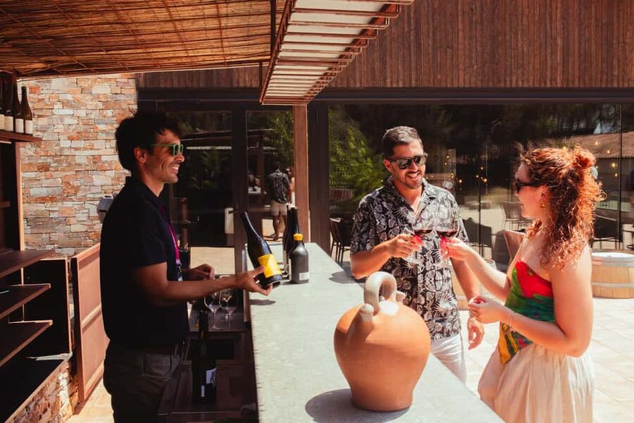 Barcelona: Full-Day Montserrat & Wine Small Group Tour - Key highlights worth your attention