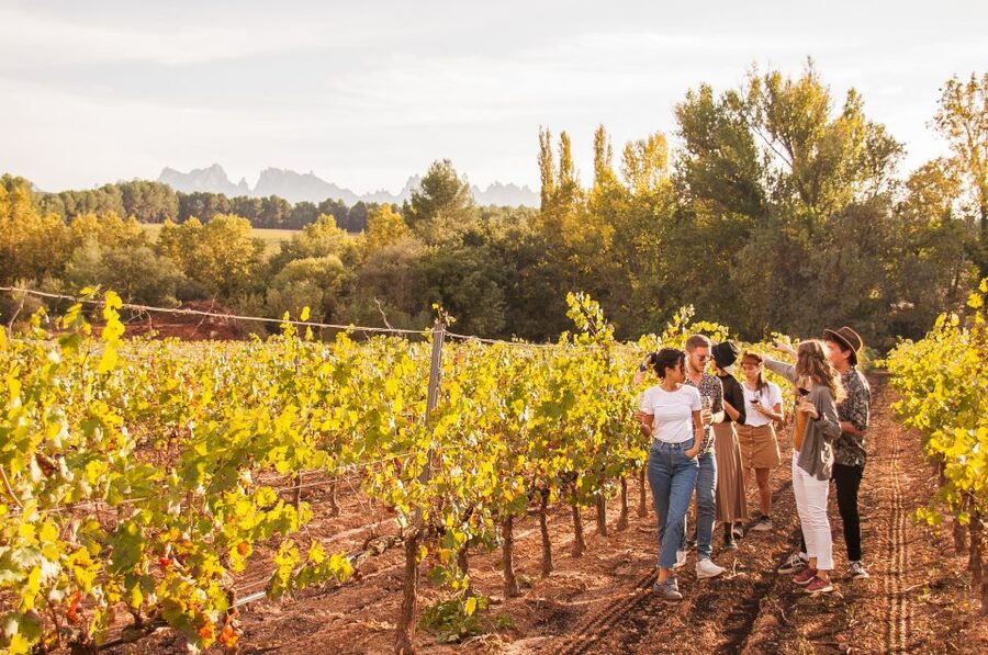 Barcelona: Full-Day Montserrat & Wine Small Group Tour - Price and value: what you’re paying for at $122